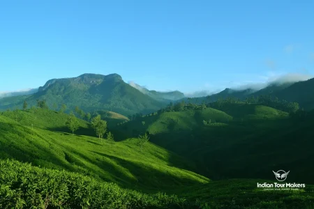Affordable munnar tour package