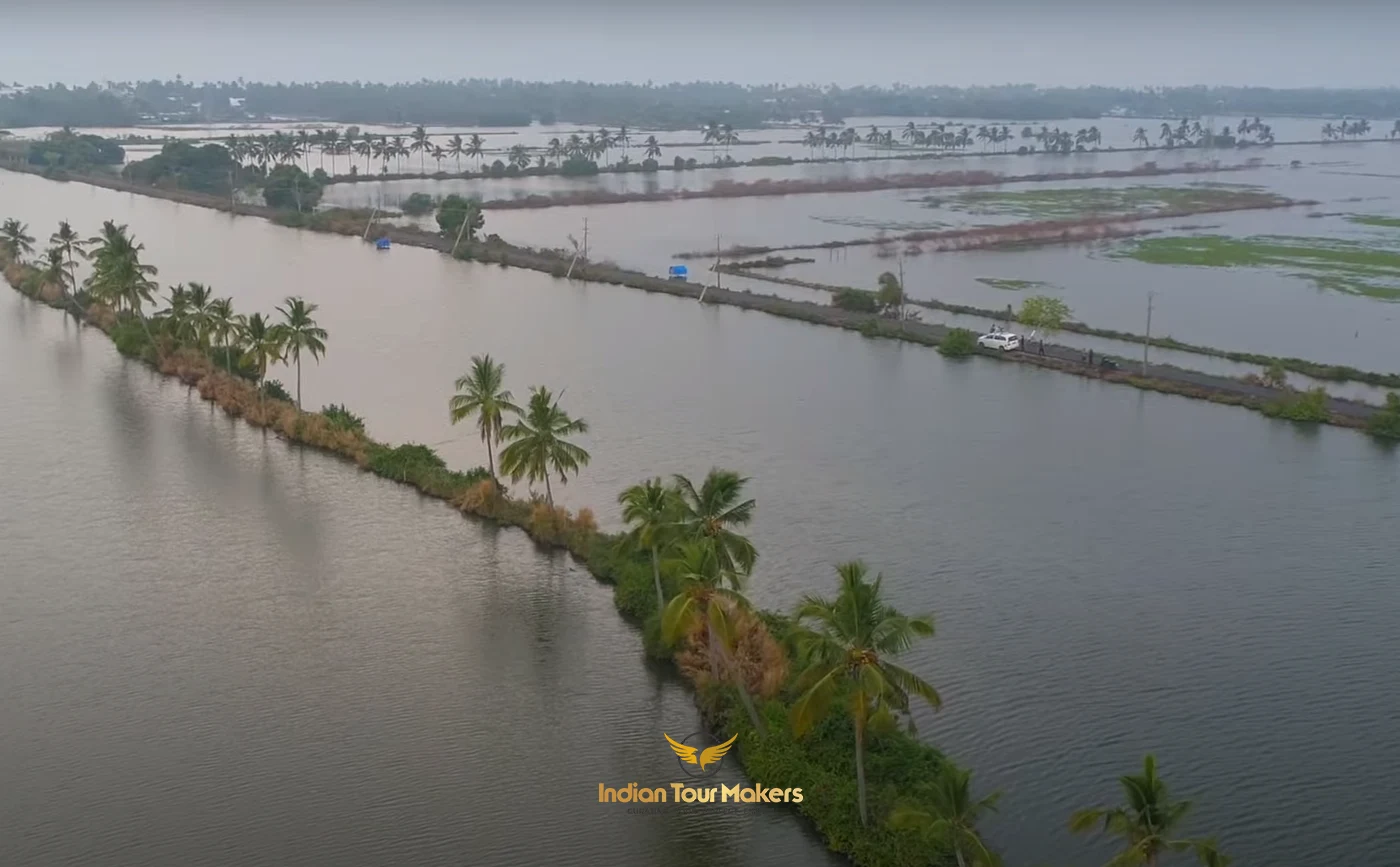 Kumbalangi Eco-tourism Village tours